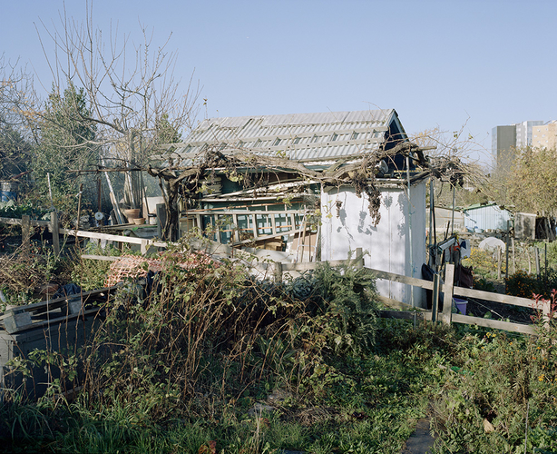 Rue des Roses — Exposition à Les Passerelles