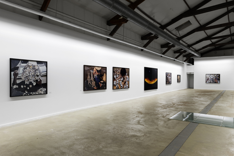 Vue de l'exposition "Les Singuliers Pluriels" de Thierry Fontaine, 2018