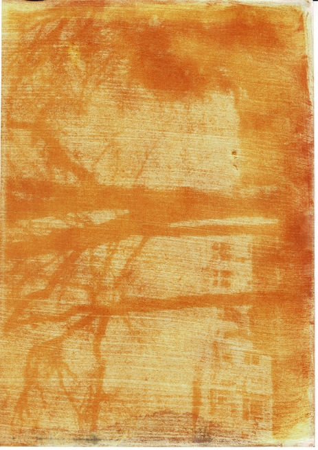 Ceci n'est pas une forêt
