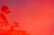 Lumières en Signes
