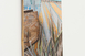 "Terrains en partage", Antoine Bertron, 2025