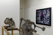 Vue de l'exposition " Quel travail ?! Manières de faire, manières de voir ", 2012
