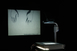 Vue de l'exposition " Quel travail ?! Manières de faire, manières de voir ", 2012