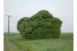 Camouflage, Atlas des Régions Naturelles, 2021