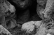 Regard(s) sur la forêt