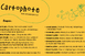 Cartophote - Antoine Bertron