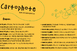 Cartophote - Antoine Bertron