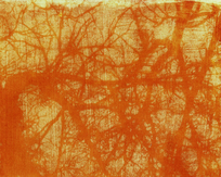 Les filtres de la nature